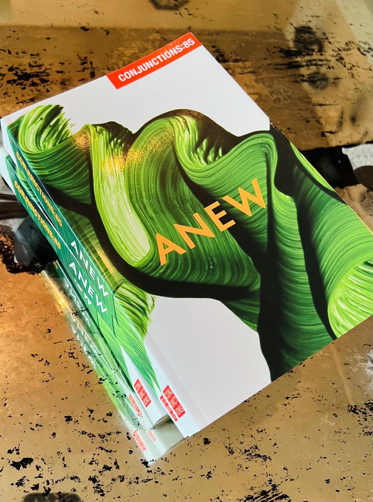 Conjunctions 85: ANEW, cover