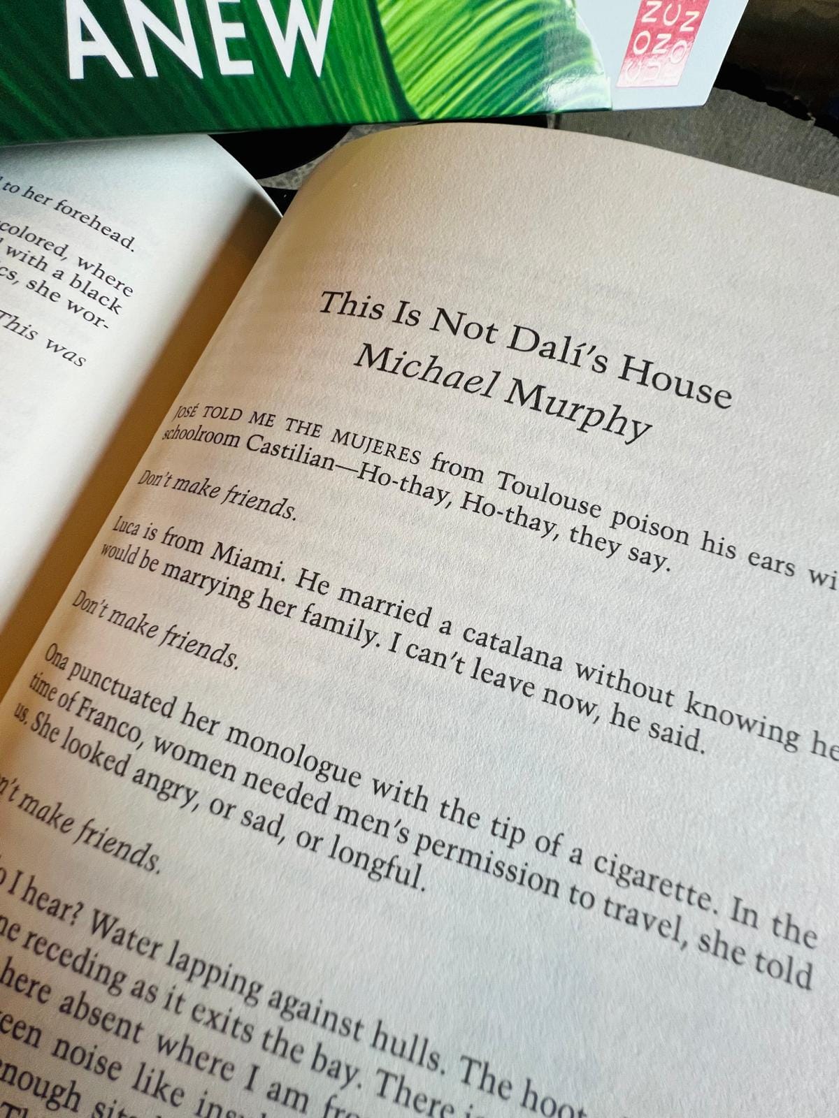Michael Murphy's story printed in Conjunctions 85